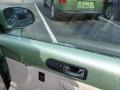 Gecko Green Metallic - New Beetle TDI Coupe Photo No. 12