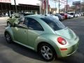 Gecko Green Metallic - New Beetle TDI Coupe Photo No. 15