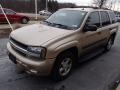 2005 Sandstone Metallic Chevrolet TrailBlazer LS 4x4  photo #4