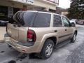 2005 Sandstone Metallic Chevrolet TrailBlazer LS 4x4  photo #8