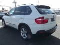 Alpine White - X5 3.0si Photo No. 3