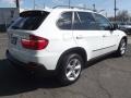 Alpine White - X5 3.0si Photo No. 4