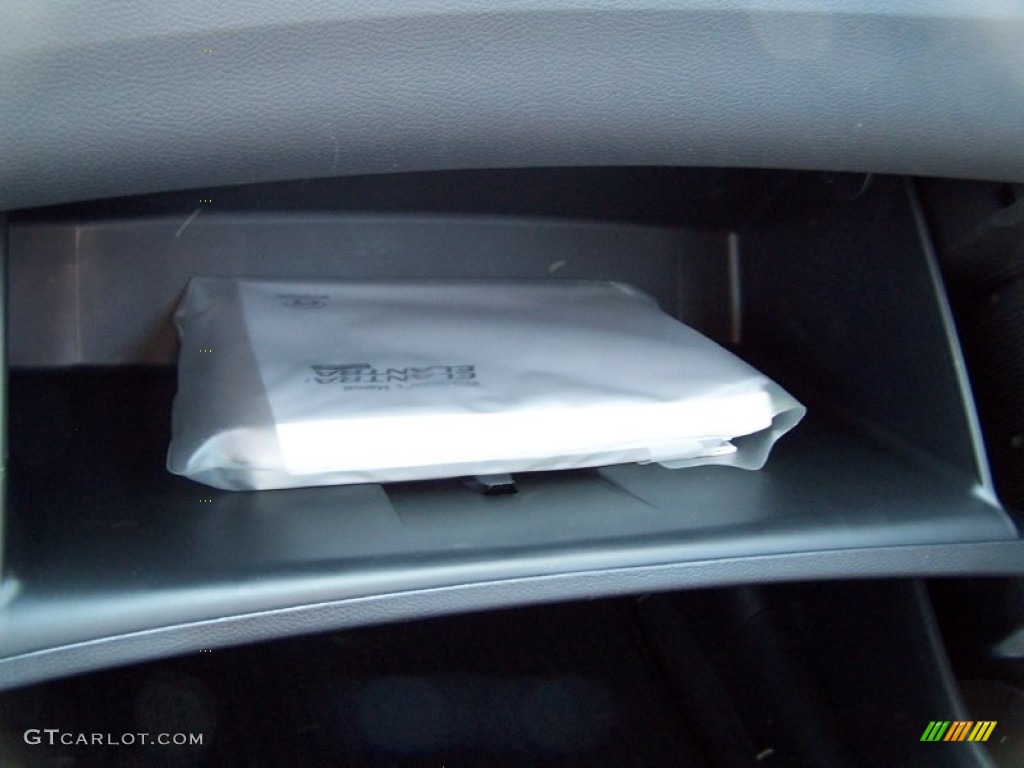 2013 Elantra Coupe GS - Silver / Blue photo #20