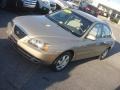 Champagne Beige - Elantra GLS Sedan Photo No. 7