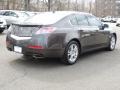 2010 Grigio Metallic Acura TL 3.5 Technology  photo #5