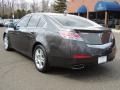 2010 Grigio Metallic Acura TL 3.5 Technology  photo #7