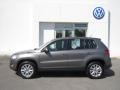 Alpine Grey Metallic - Tiguan S Photo No. 2