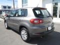 Alpine Grey Metallic - Tiguan S Photo No. 3