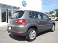 Alpine Grey Metallic - Tiguan S Photo No. 5