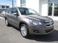 Alpine Grey Metallic - Tiguan S Photo No. 7