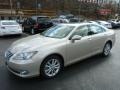 Satin Cashmere Metallic - ES 350 Photo No. 2