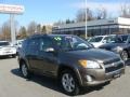 2010 Pyrite Metallic Toyota RAV4 Limited 4WD  photo #1