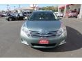 Aloe Green Metallic - Venza I4 Photo No. 2