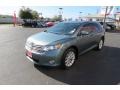 Aloe Green Metallic - Venza I4 Photo No. 3