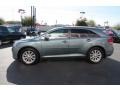 Aloe Green Metallic - Venza I4 Photo No. 4