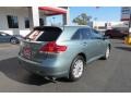 Aloe Green Metallic - Venza I4 Photo No. 7