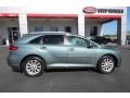 Aloe Green Metallic - Venza I4 Photo No. 8