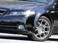 Nighthawk Black Pearl - TL 3.5 Type-S Photo No. 5