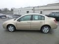 Golden Cashmere - ION 2 Sedan Photo No. 4