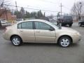 2006 Golden Cashmere Saturn ION 2 Sedan  photo #8