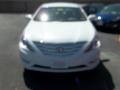 Shimmering White - Sonata GLS Photo No. 1