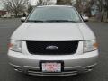 2006 Silver Birch Metallic Ford Freestyle Limited AWD  photo #12
