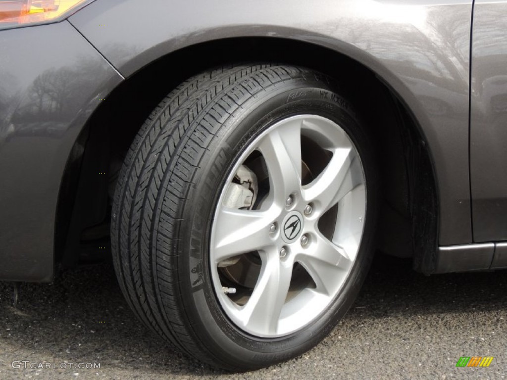 2010 TSX Sedan - Grigio Metallic / Ebony photo #29