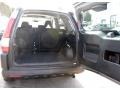 Silver Moss Metallic - CR-V EX 4WD Photo No. 8