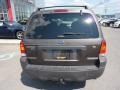 2006 Dark Stone Metallic Ford Escape XLT V6 4WD  photo #10