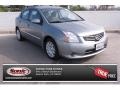 Magnetic Gray Metallic 2010 Nissan Sentra 2.0