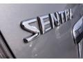 Magnetic Gray Metallic - Sentra 2.0 Photo No. 8