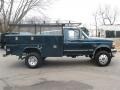 Dark Tourmaline Metallic - F350 XL Regular Cab 4x4 Dually Photo No. 8