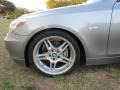 2004 BMW 5 Series 530i Sedan Wheel and Tire Photo
