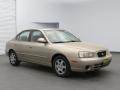 2002 Champagne Beige Hyundai Elantra GLS Sedan  photo #2