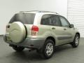 2003 Titanium Metallic Toyota RAV4   photo #3