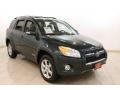 Black Forest Pearl 2010 Toyota RAV4 Limited 4WD