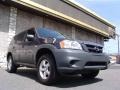 2006 Storm Front Gray Metallic Mazda Tribute i 4WD  photo #3