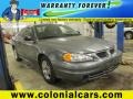 Greystone Metallic - Grand Am SE Sedan Photo No. 1