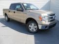 2013 Pale Adobe Metallic Ford F150 XLT SuperCrew  photo #2