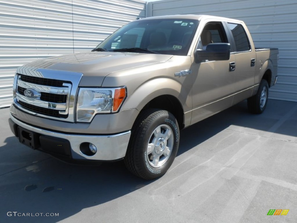 2013 F150 XLT SuperCrew - Pale Adobe Metallic / Adobe photo #10