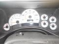 Wheat Gauges Photo for 2004 Hummer H2 #78571820
