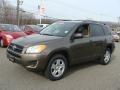 Pyrite Metallic - RAV4 I4 4WD Photo No. 3