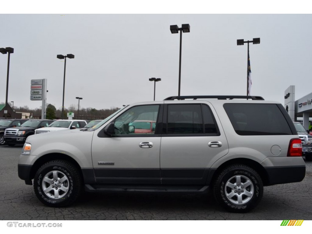 Silver Birch Metallic 2007 Ford Expedition XLT 4x4 Exterior Photo #78583003