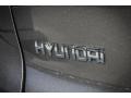 2010 Hyundai Tucson GLS Badge and Logo Photo