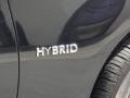 2012 Infiniti M Hybrid Sedan Badge and Logo Photo