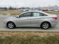 Radiant Silver - Sonata GLS Photo No. 6