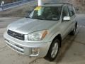 Titanium Metallic - RAV4 4WD Photo No. 5