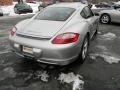 Arctic Silver Metallic - Cayman S Photo No. 8