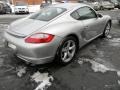 Arctic Silver Metallic - Cayman S Photo No. 9