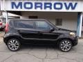 Shadow Black 2013 Kia Soul !